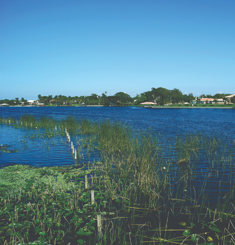 Featured Properties