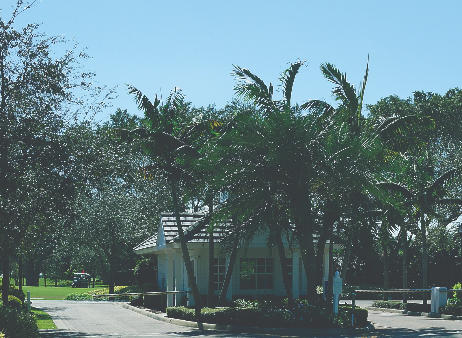 Featured Properties